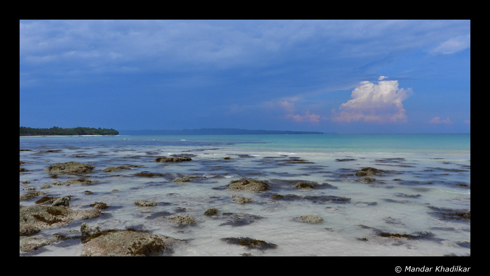 landscape5